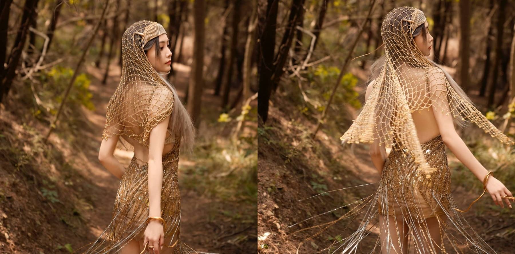 许佳琪，金色梦境，森林精灵