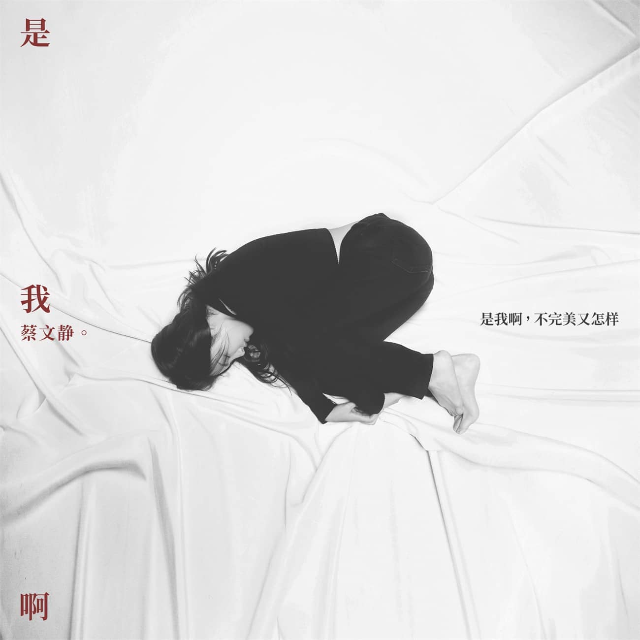 蔡文静 造型图8