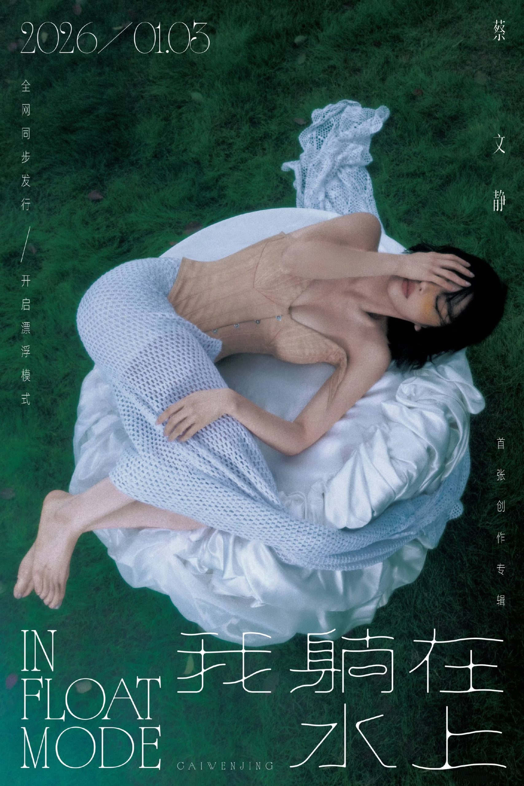 蔡文静 造型图27